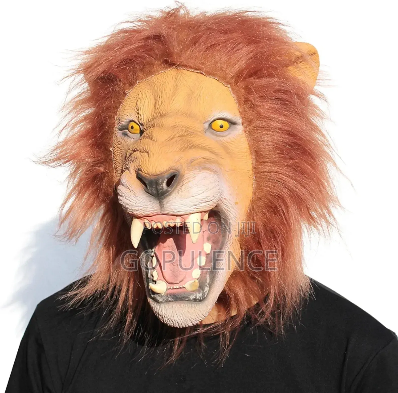 Lion Hallooween Masks