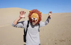 Lion Hallooween Masks