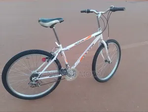 Ravin Lespo Adult Bicycle