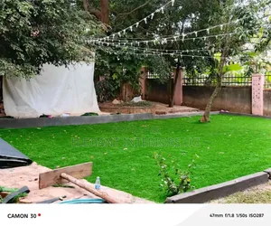 Artificial Grass Carpets Used in Compounds and in Turfs