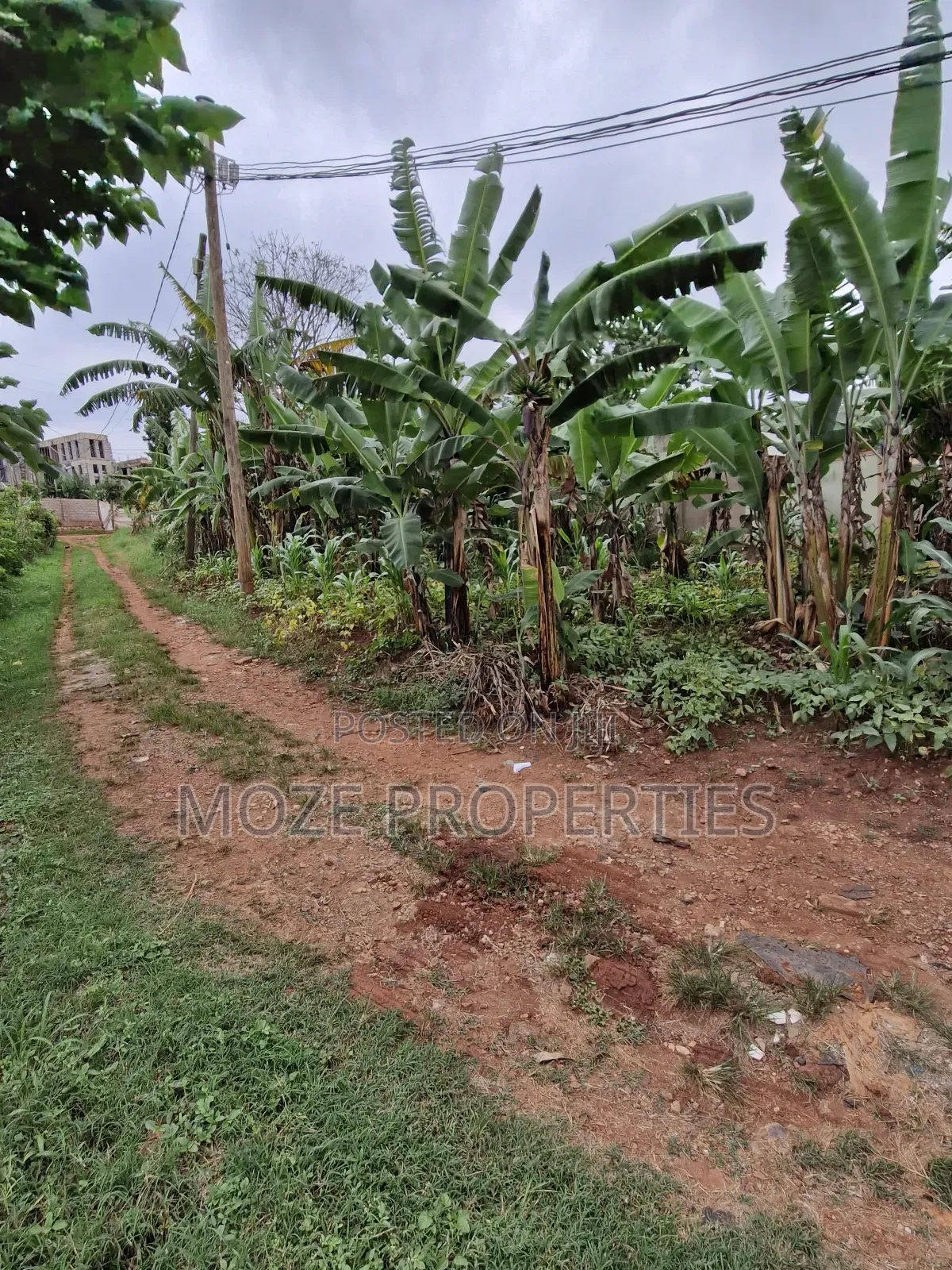 Sonde Hill View 50x70 Plot for Sale