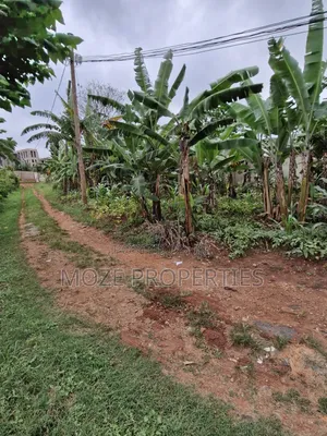 Sonde Hill View 50x70 Plot for Sale