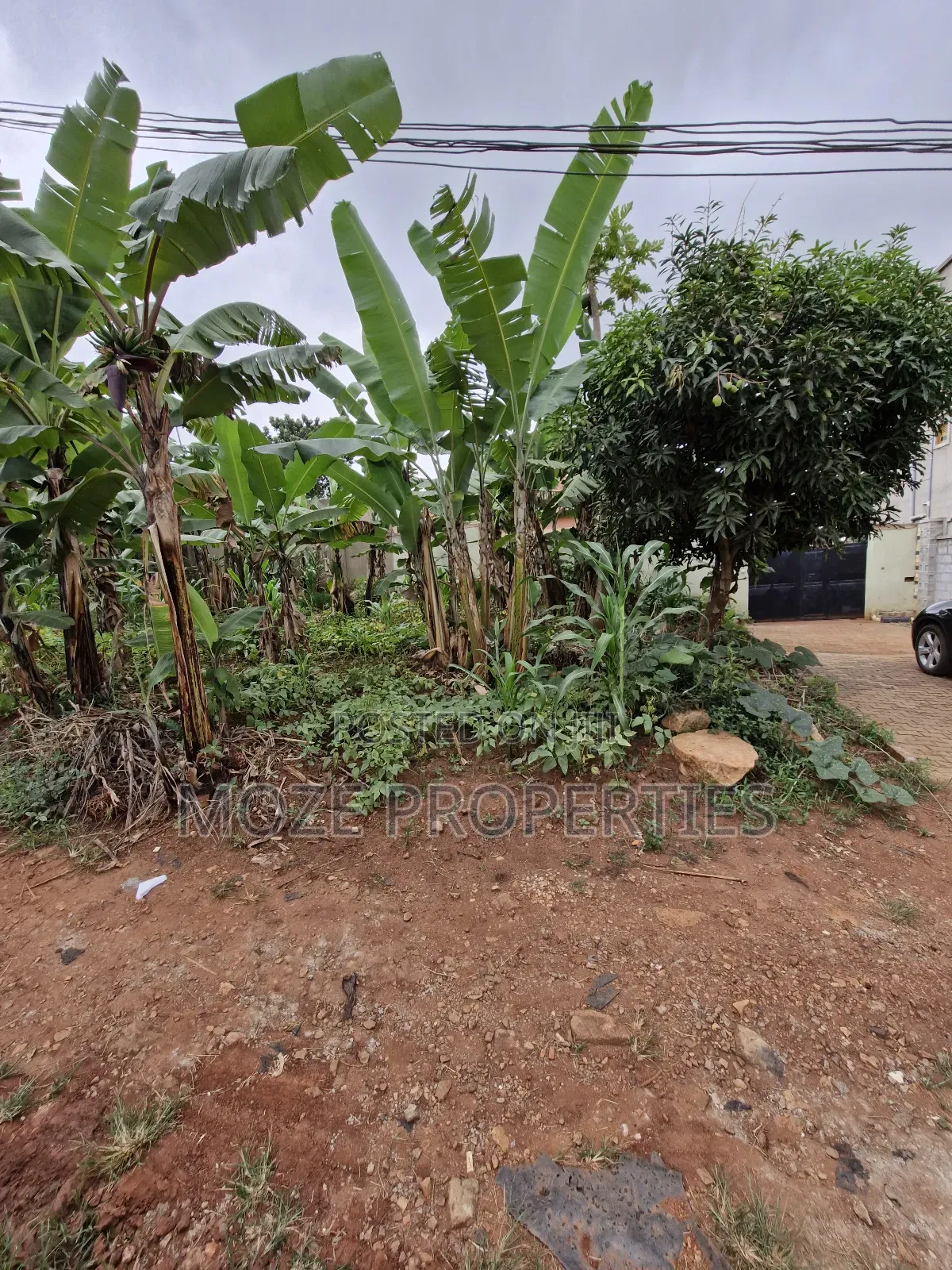 Sonde Hill View 50x70 Plot for Sale