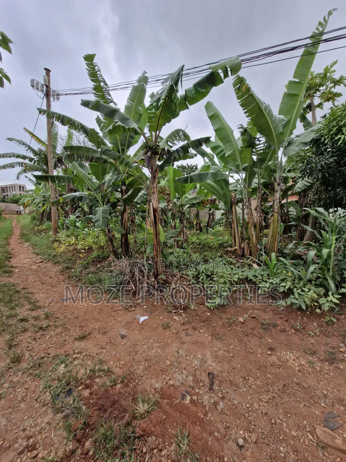 Sonde Hill View 50x70 Plot for Sale