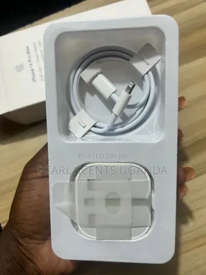 iPhone Pro Max Charger