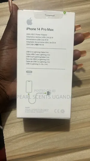 iPhone Pro Max Charger