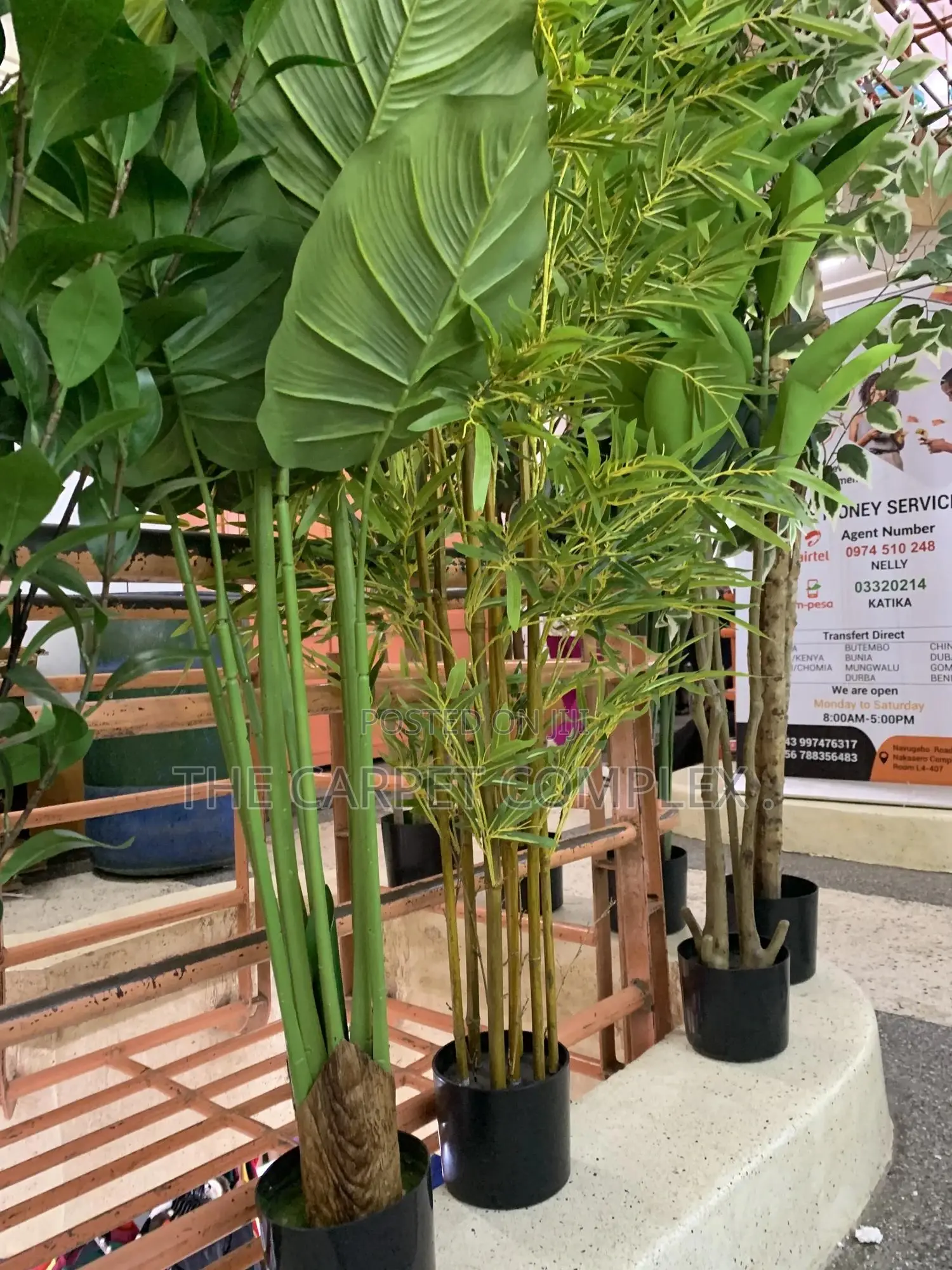 Artificial Home Plants and Pots Each Piece
