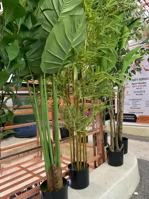 Artificial Home Plants and Pots Each Piece