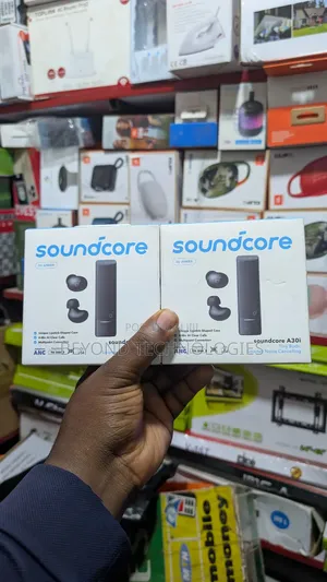 Soundcore Noise Cancelling Earbuds