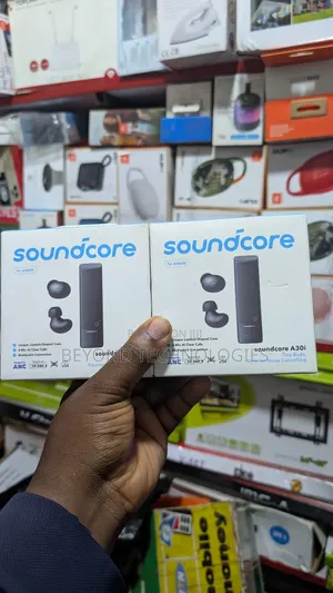 Soundcore Noise Cancelling Earbuds