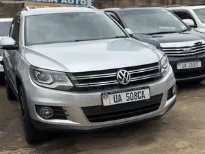 Volkswagen Tiguan 2014 Silver