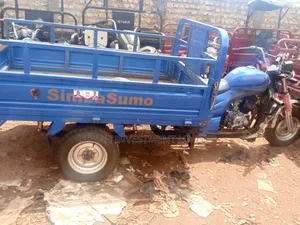 Tricycle 2024 Blue