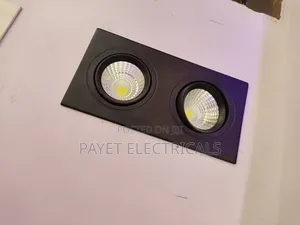 2in 1 Double Spot Light