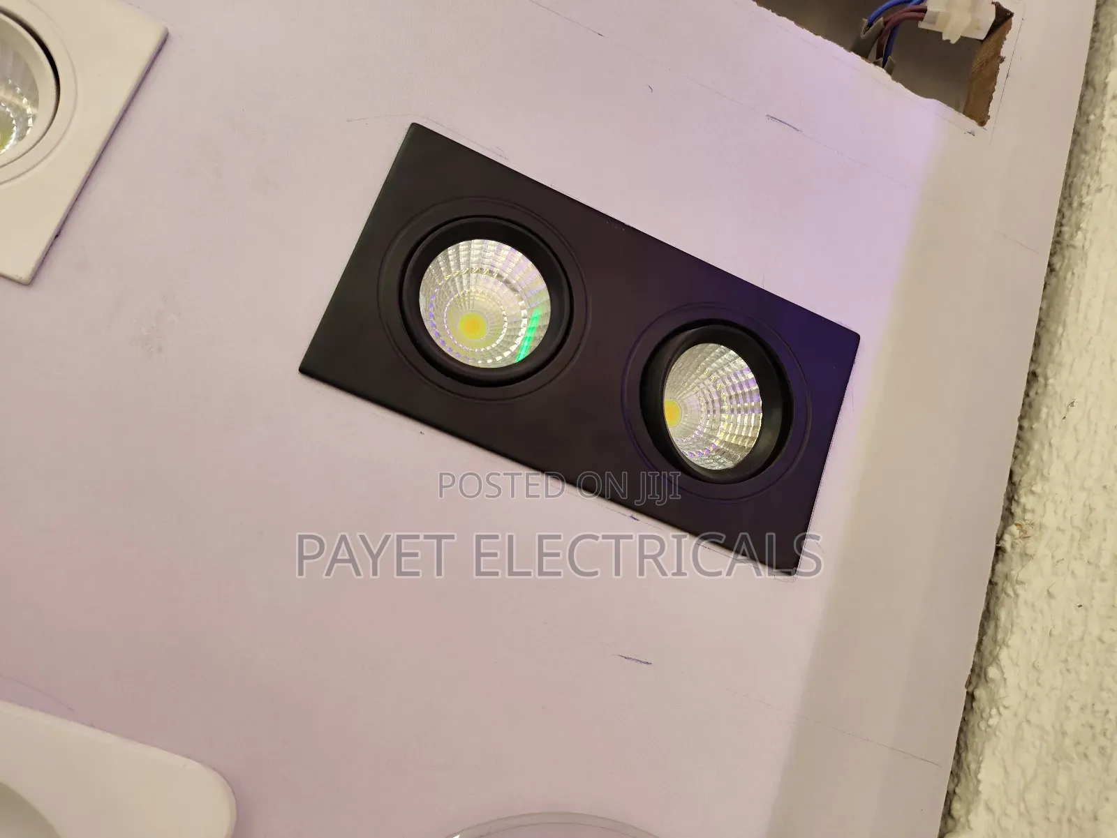 2in 1 Double Spot Light
