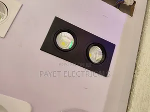 2in 1 Double Spot Light