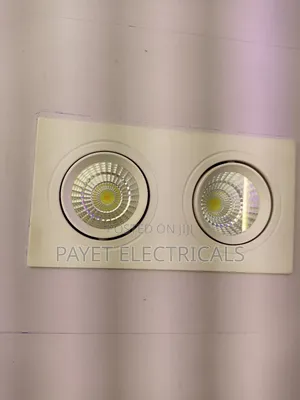 White Double Eye Spot Light