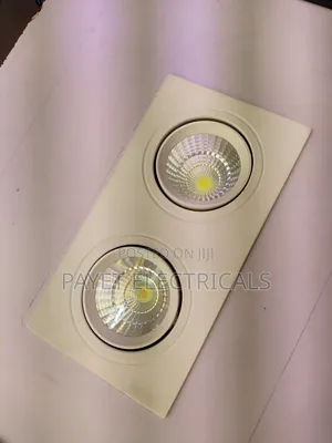 White Double Eye Spot Light