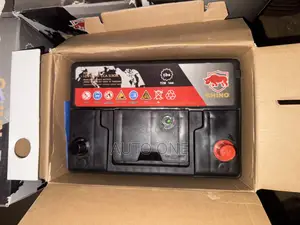 N55ah Rhino Batteries
