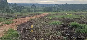Discounted Plots Available for Sale