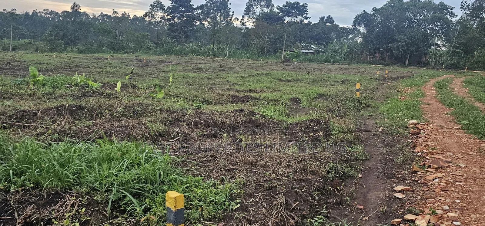 Discounted Plots Available for Sale