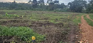 Discounted Plots Available for Sale