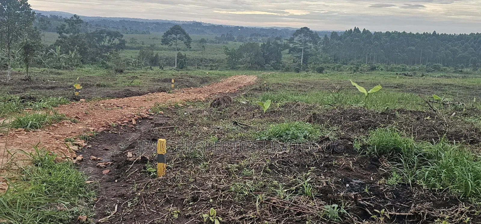 Discounted Plots Available for Sale