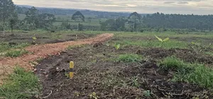Discounted Plots Available for Sale