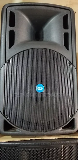 Professional Speaker RCF