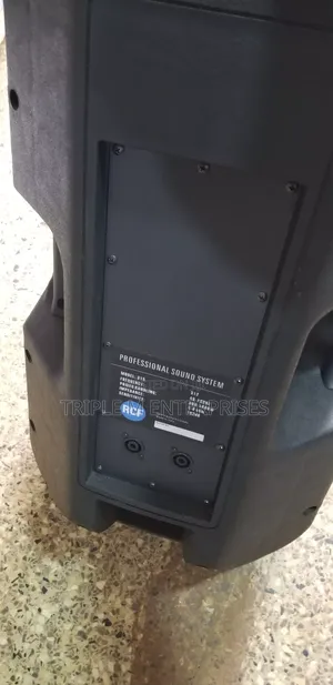 Professional Speaker RCF