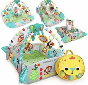 Baby Play Activity Gym and Play Center With Balls
