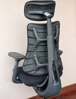 Libernovo Omni - World's First Dynamic Ergonomic Office Chair+Footrest