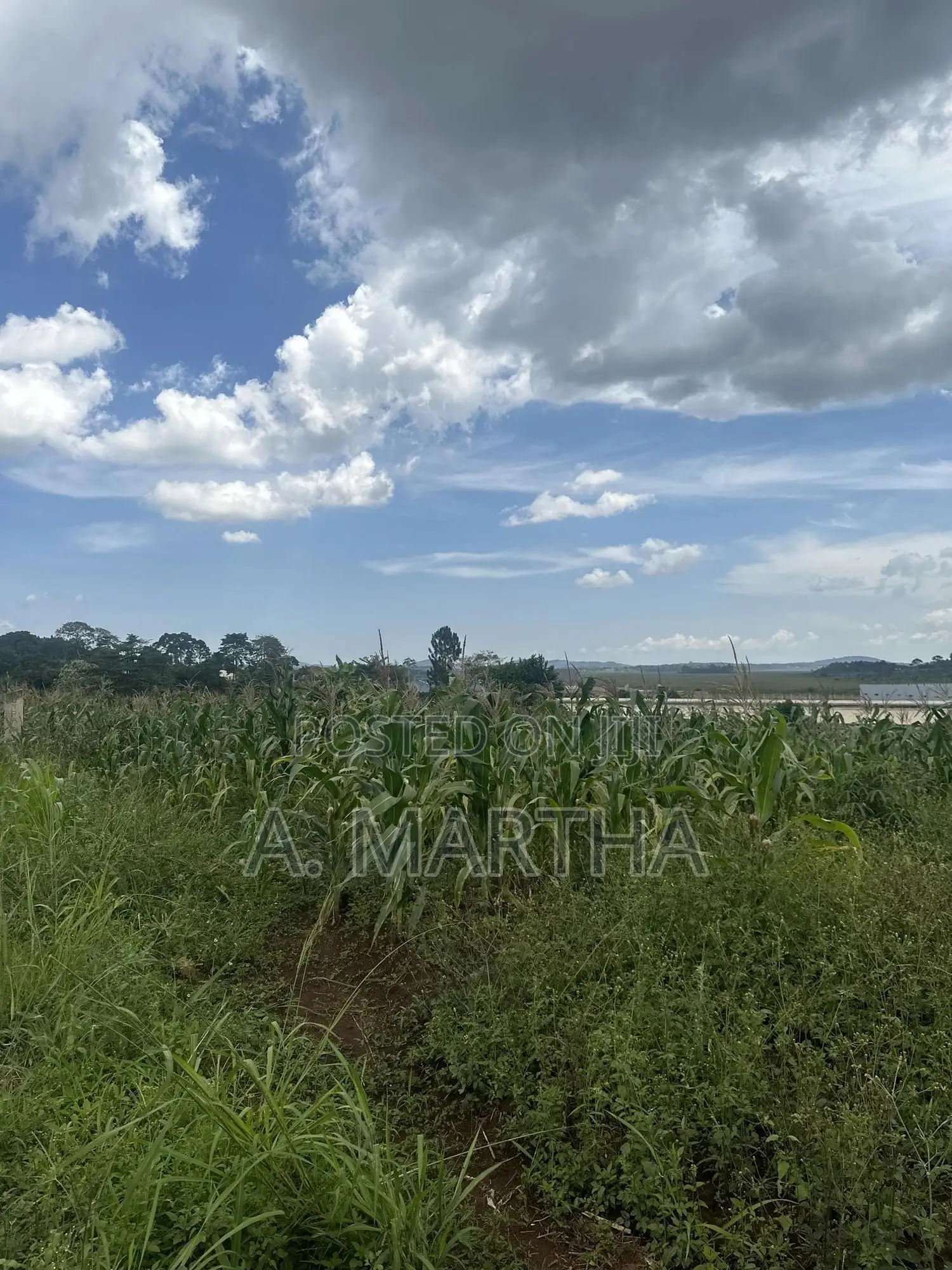 Land in Nama Mukono