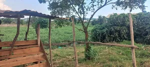 Commercial Plot Located Along Bukerere - Kiyunga Road Measuring 23 Dec