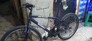 Bike for Adultssds