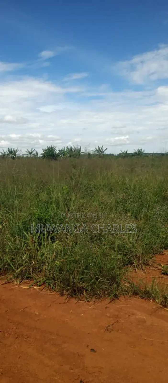 Land on Sale in Zirobwe Road Bulami
