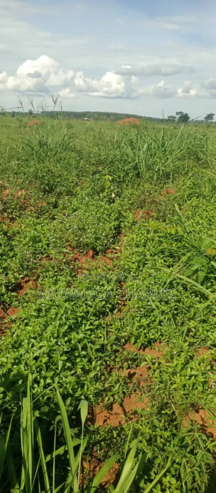 Land on Sale in Zirobwe Road Bulami