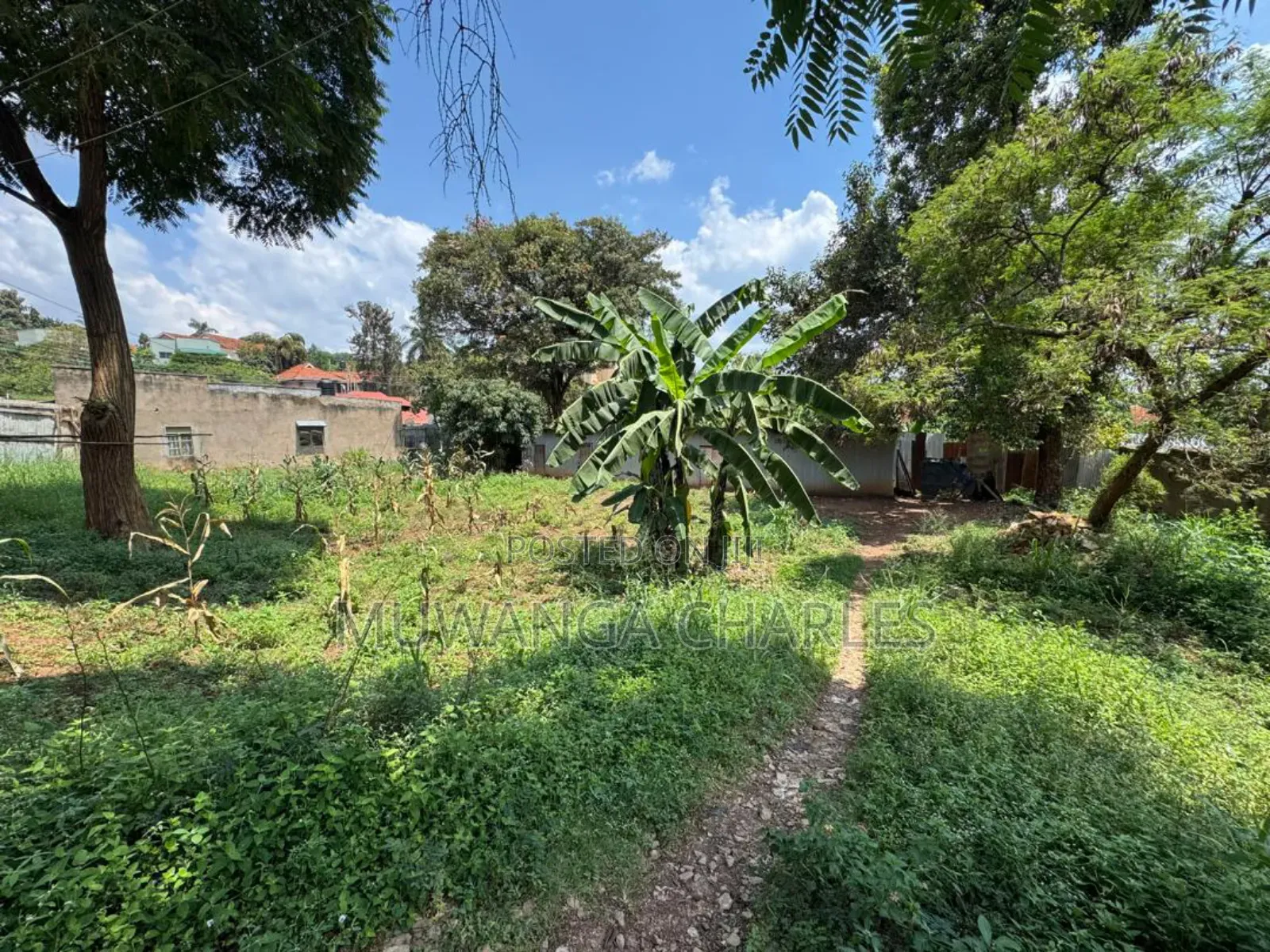 Land on Sale in Zirobwe Road Bulami