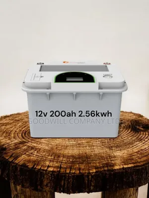 200ah 12v 2.56kwh Felicity Lithium Battery