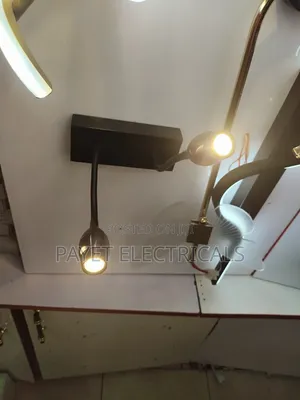 2in 1 Double Pointer Wall Light