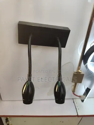 2in 1 Double Pointer Wall Light