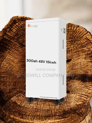 300ah 48v 15kwh Felicity Lithium Battery