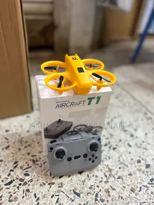 Kids Play Remote Controlled Drones