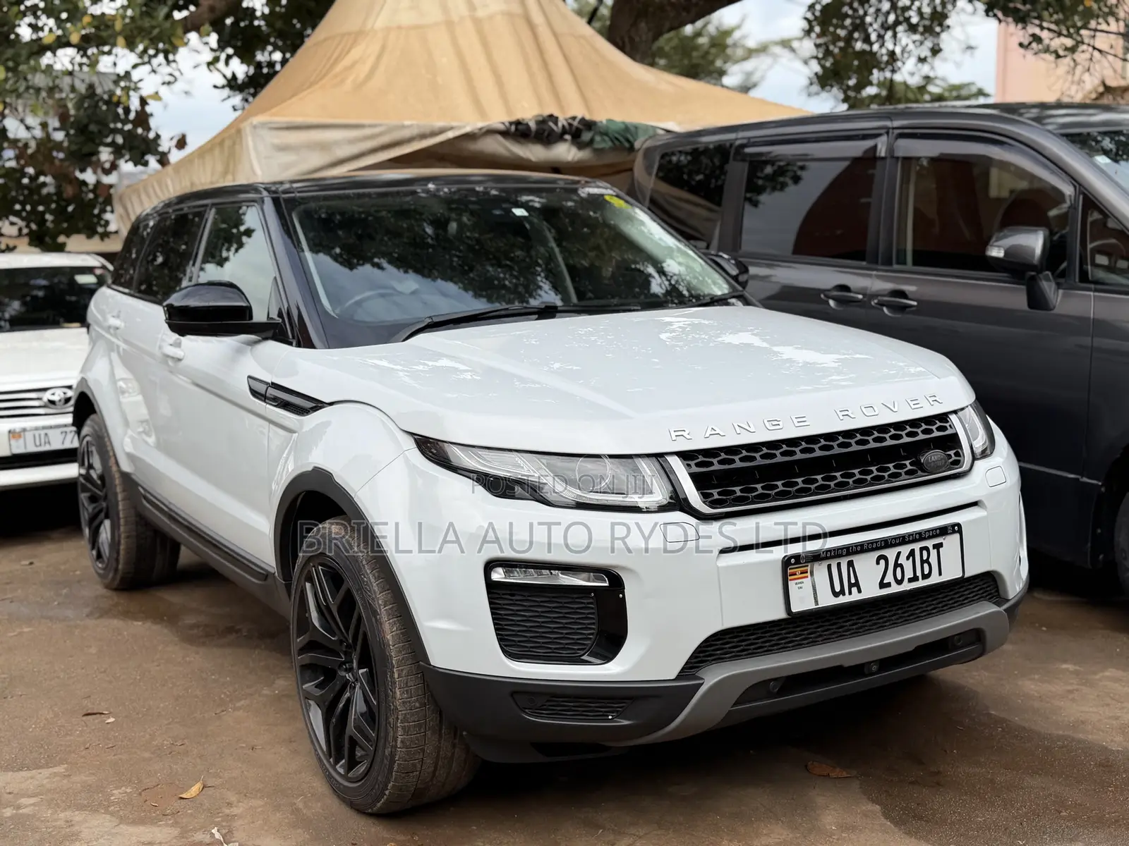Land Rover Range Rover Evoque 2016 White