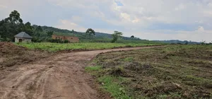 Titled Plots for Sale at Kakiri Kikugi