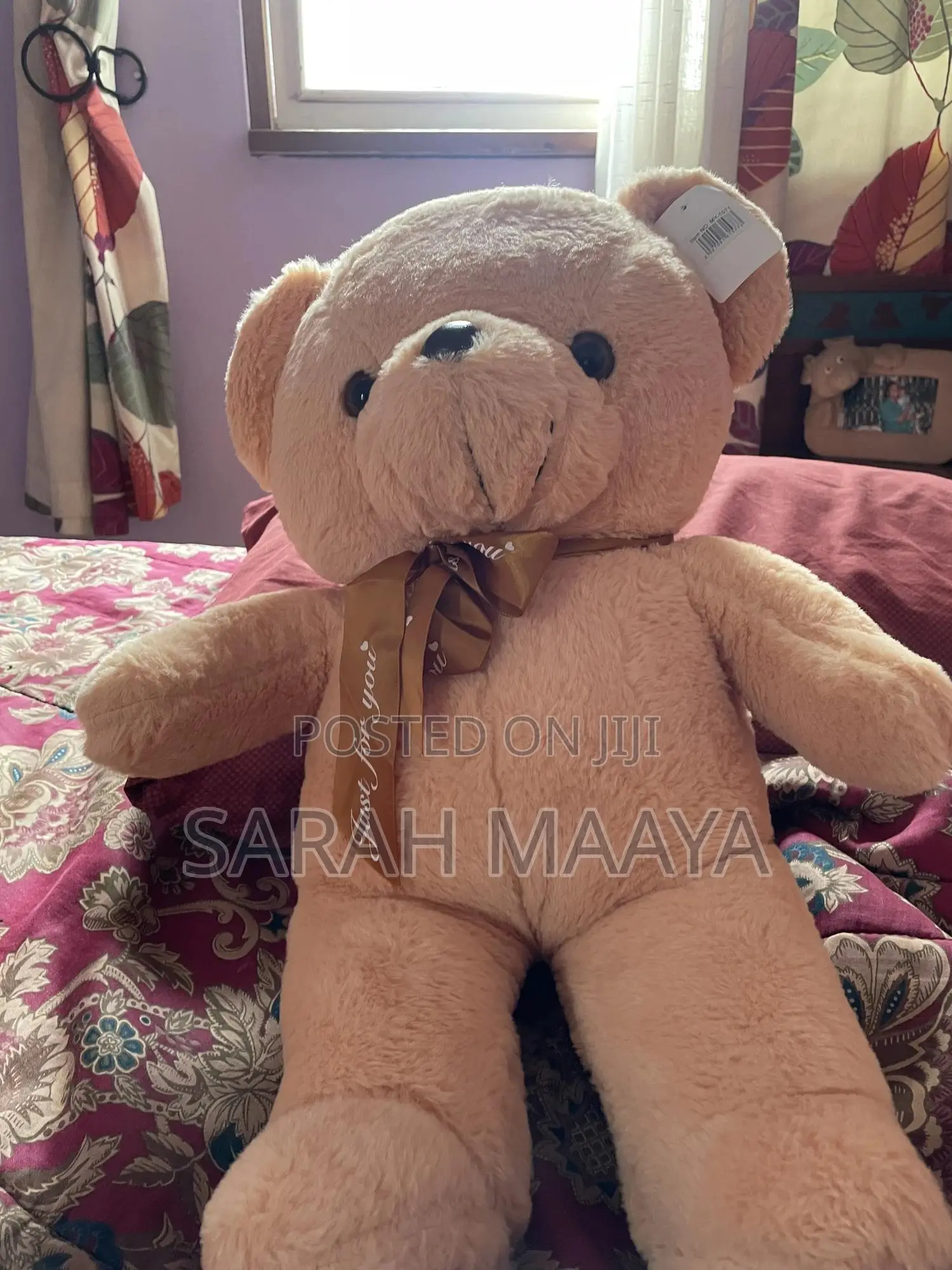 Teddy Bear