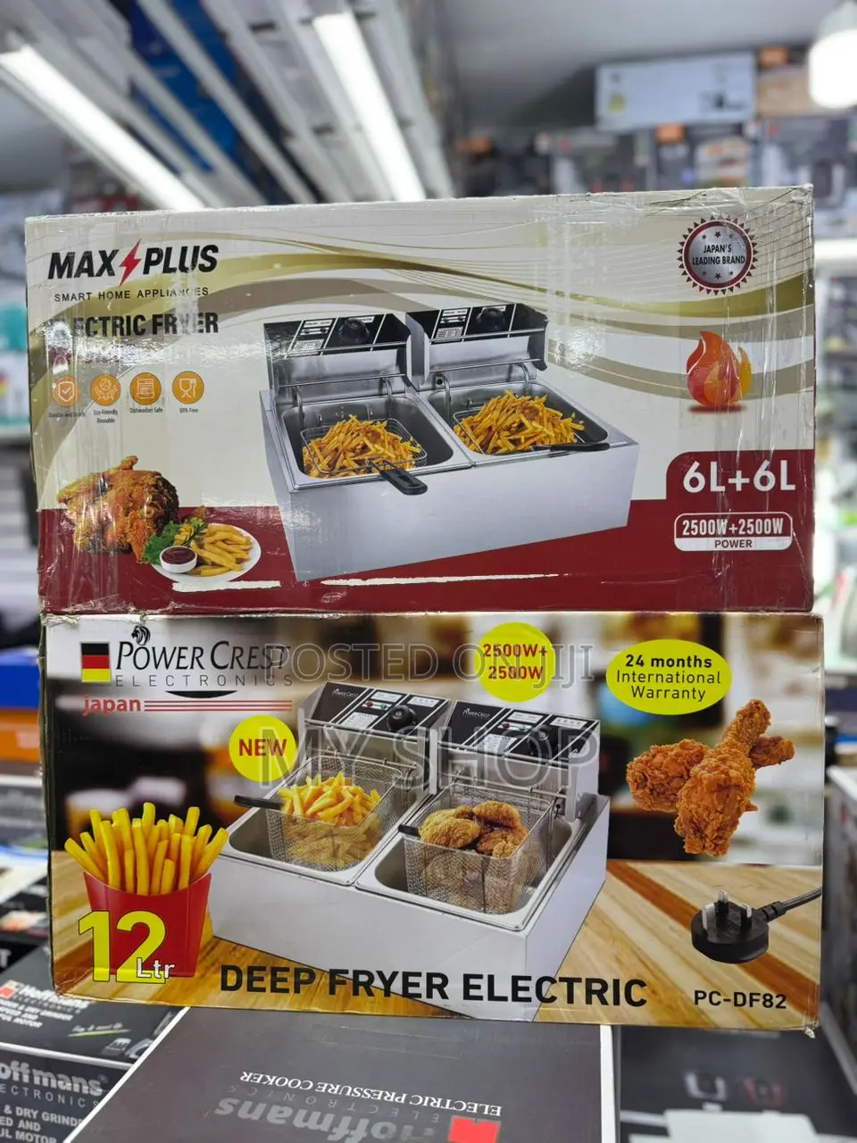 Chips Fryer Double