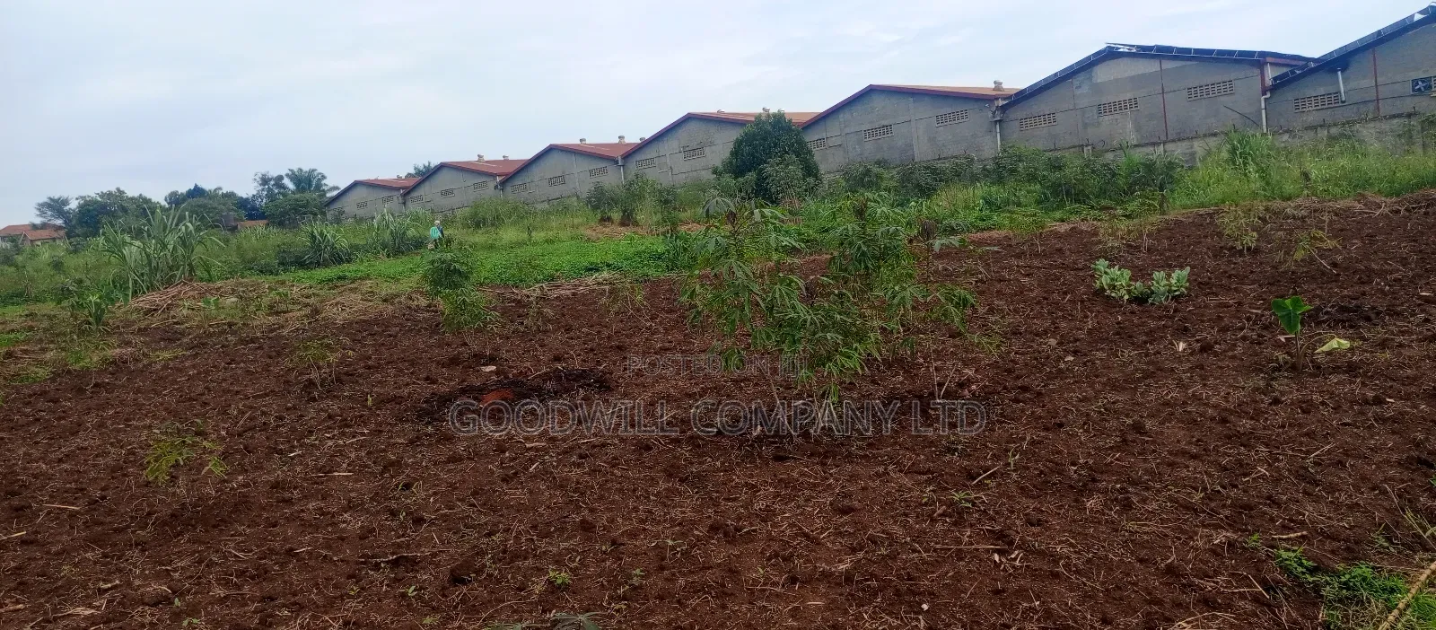 18 Acres of Land in Buto Bweyogerere