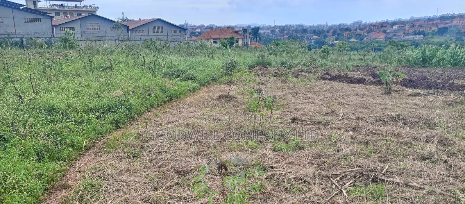 18 Acres of Land in Buto Bweyogerere