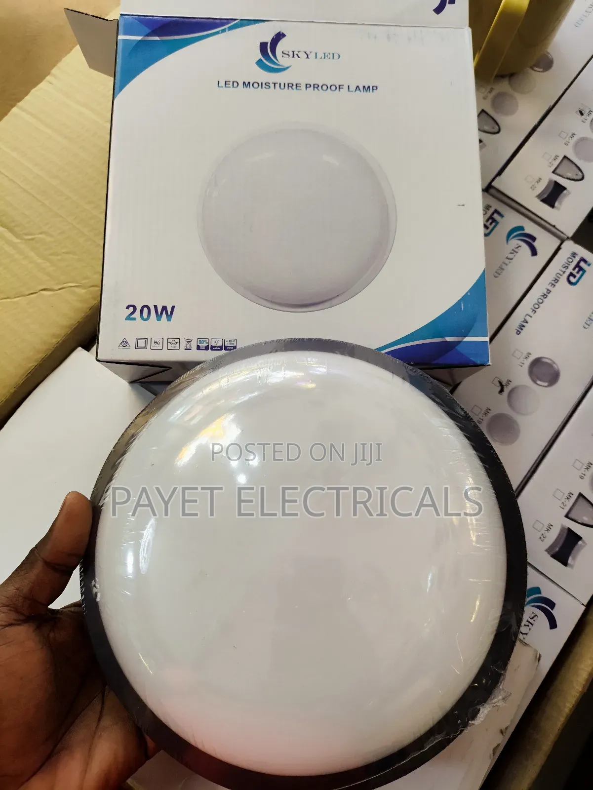 20watts Moisture Proof Led Light That Changes Colours