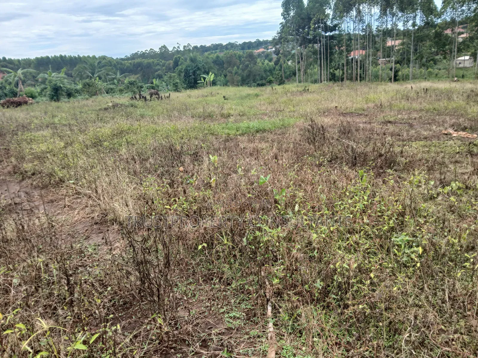 Plots Available at Matugga Kavule Electricity on Site Instalments